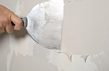 What We Do | Commercial & Residential Painting Services